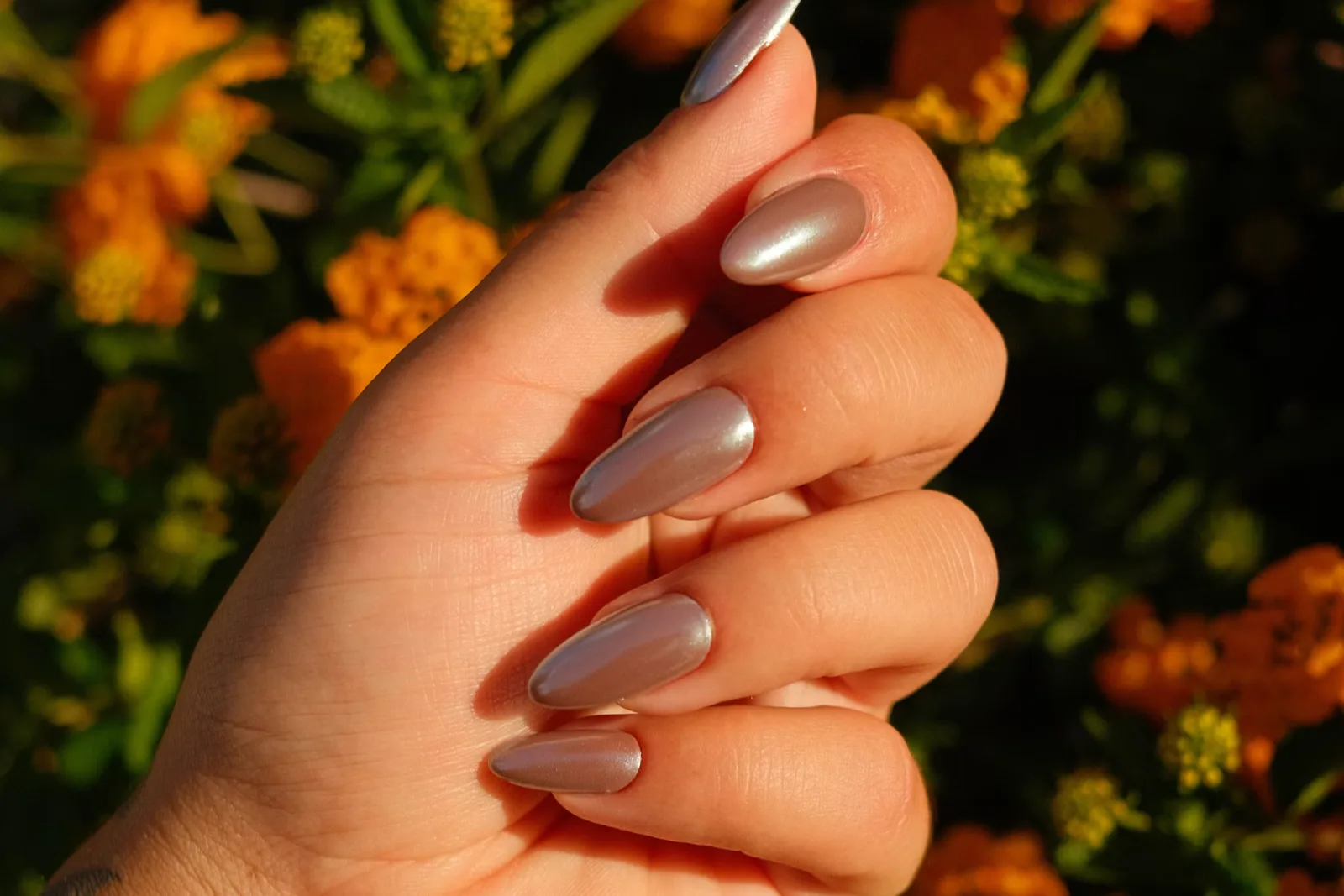 Hand with glossy taupe almond nails held up against orange marigold flowers